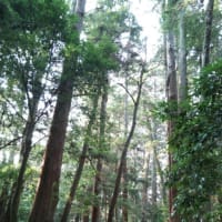 ちょっと小旅行に