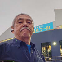 本日は言い訳