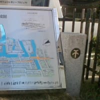 コスモタイガー漂走記～旧紀州街道編②～中編