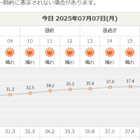 大袈裟でなく・・・