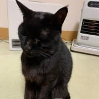 回復の兆し？