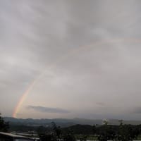 雨の後　キレイな虹が
