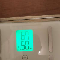 14日目の数値