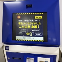 車の免許を更新しました！　ホタルブクロ！　満月ストロベリームーン！