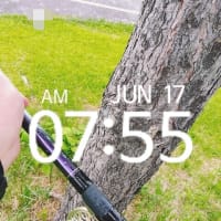 君よ六月に熱くなれ