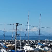 新年明けて撮った写真