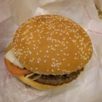 羽田の新国際線ターミナルとバーガーキングのおかわり自由に行ってきた