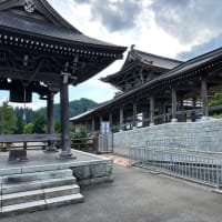 孫の子守り・午後は家内も一緒に花の桔梗寺・遍照寺・但馬大仏長楽寺