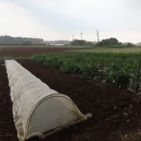 雷雨で退散