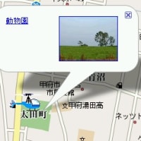 Google Maps API でキャラ移動