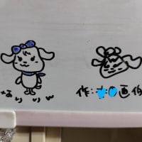 ヘルパーvsケアマネ