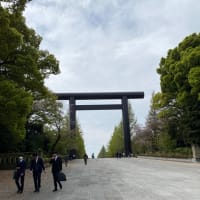 桜の千鳥が淵