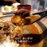 【味菜十食堂】牛すじ合いがけカレー　大盛り【新潟県上越グルメ】上越すちーる