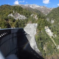 旅行を楽しみました