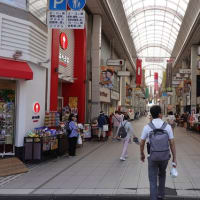 1233　高知（高知県）よさこいの街から終夜バスで帰る