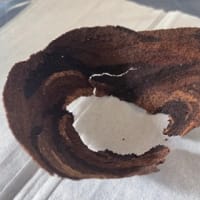 夏模様になりましたとニャンコはね・・・
