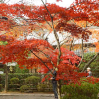 埼玉県新座市平林寺