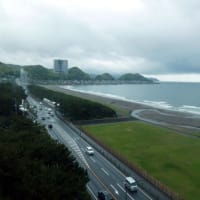 今日の鴨川　25/06/09
