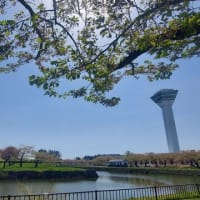 2025青森の旅その1（札幌から函館へ）