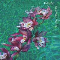 ブルース・ホーンズビーと室内合奏団yMusicのBrhyM名義での新コラボアルバム発売中