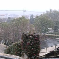 今日はパソコンサロン