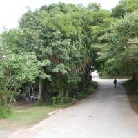 R6.1.4～沖縄旅行４泊５日✰（その２）