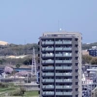 はげ山：大きさも半分位に