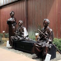 「牧野富太郎植物園・記念館」「竜馬の生まれたまち記念館」見学 。四国周遊車中泊の旅 。
