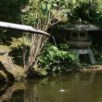京都、鎌倉　最後の恋？