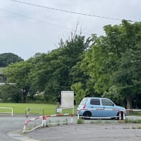 竿燈の練習が始まった！(≧▽≦)
