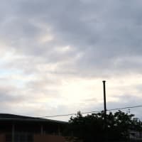 【早朝のお散歩】 24/6/3　梅雨入りが近づいている朝ですが