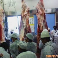 枝肉研究会