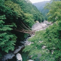 龍頭の滝　金剛の滝（徳島県）