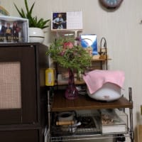 何もしない一日