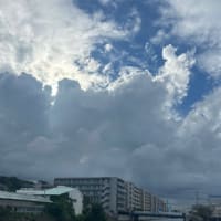 コン爺　ご挨拶😎