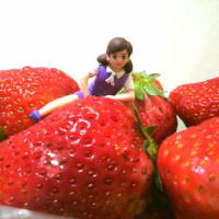 春ですよー