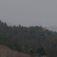 “花粉” ＆ “強風”・・観察を打ち切りました！