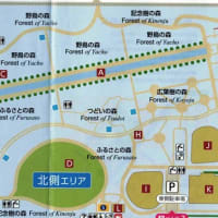 前田森林公園の樹木ウォッチング００２