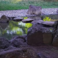 何が写っているかな？
