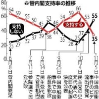 菅内閣支持率急落３５％、尖閣・経済など響く