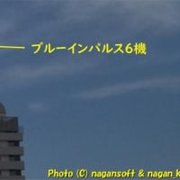 ブルーインパルス(関西万博のやつ) 7月12日泉佐野上空