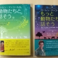 くまおさんとのコミュニケーション