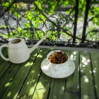 “大まぬけ” の私