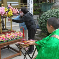 東樹院の花まつりに行きました