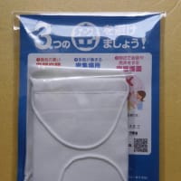 【再掲】アベノマスクがやっと配達されたが、やはり役に立たないことが分かった！