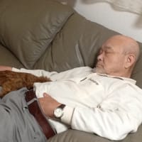 我が家の父とモコも…(^O^)