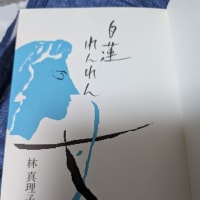 暑いしか言葉が出ない日々