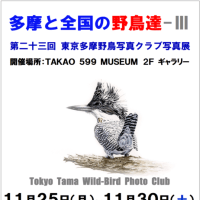 遠征前の興奮状態・・・（構えることなく無計画が一番）