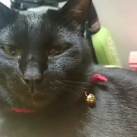 再起動します。