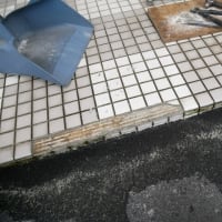 言ってはみたもののプロにはほど遠いな💦